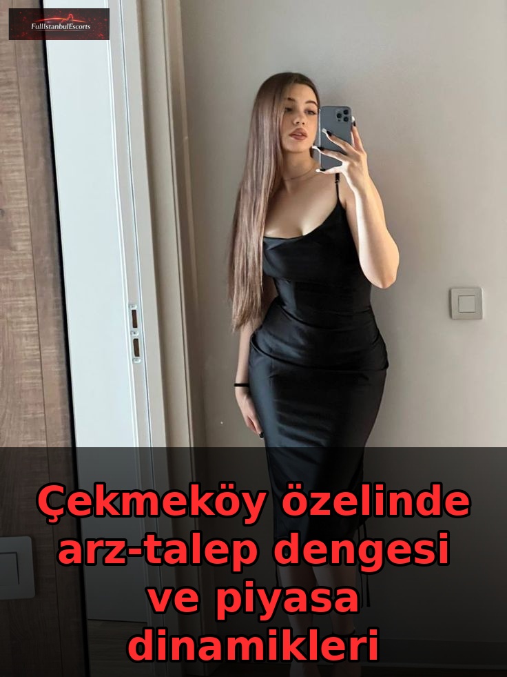 Çekmeköy Piyasa Analizi Final