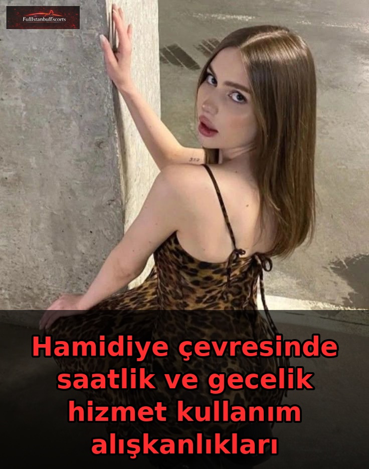 Hamidiye Hizmet Analizi