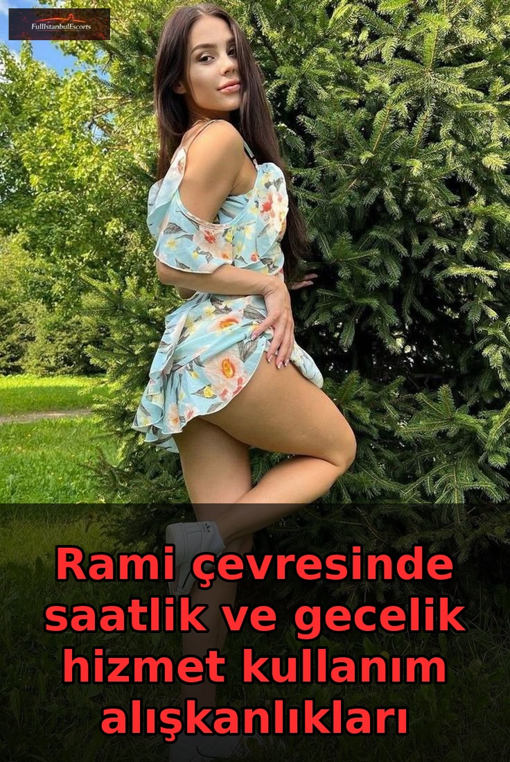 Rami ve Eyüpsultan Merkez Hizmet Analizi