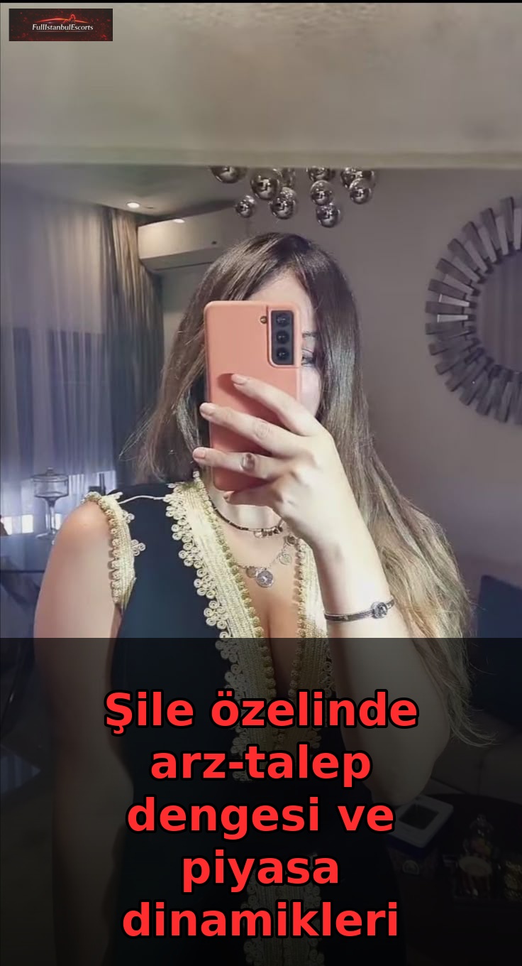 Şile özelinde arz-talep dengesi ve piyasa dinamikleri