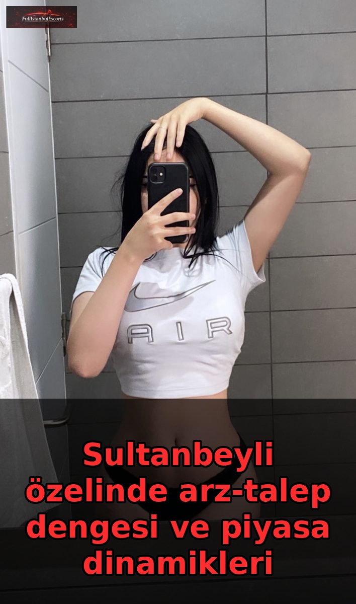 Sultanbeyli özelinde arz-talep dengesi ve piyasa dinamikleri