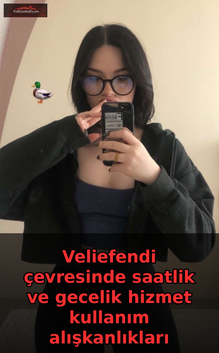 Veliefendi çevresinde saatlik ve gecelik hizmet kullanım alışkanlıkları